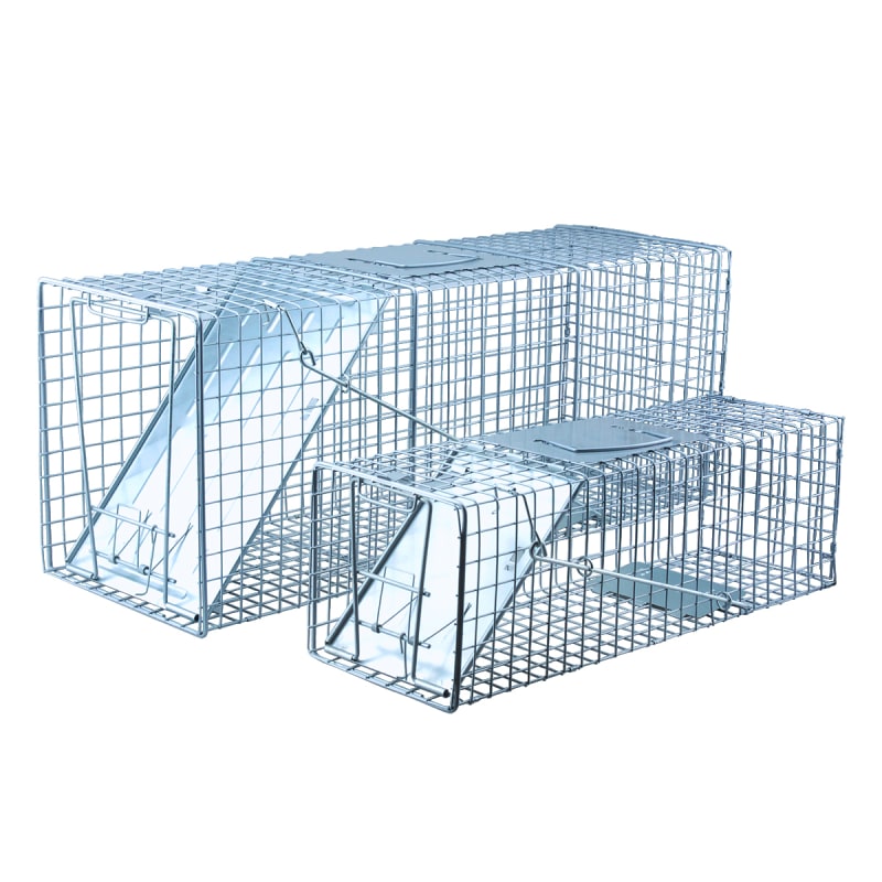 Raccoon Traps Tractor Supply edu.svet.gob.gt