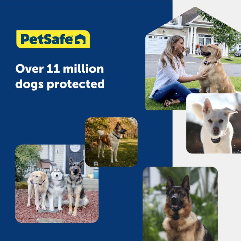 Fleet farm wireless dog fence shop
