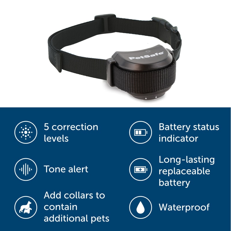 Stay Play Wireless Fence Receiver Dog Collar w Replaceable Battery by PetSafe at Fleet Farm