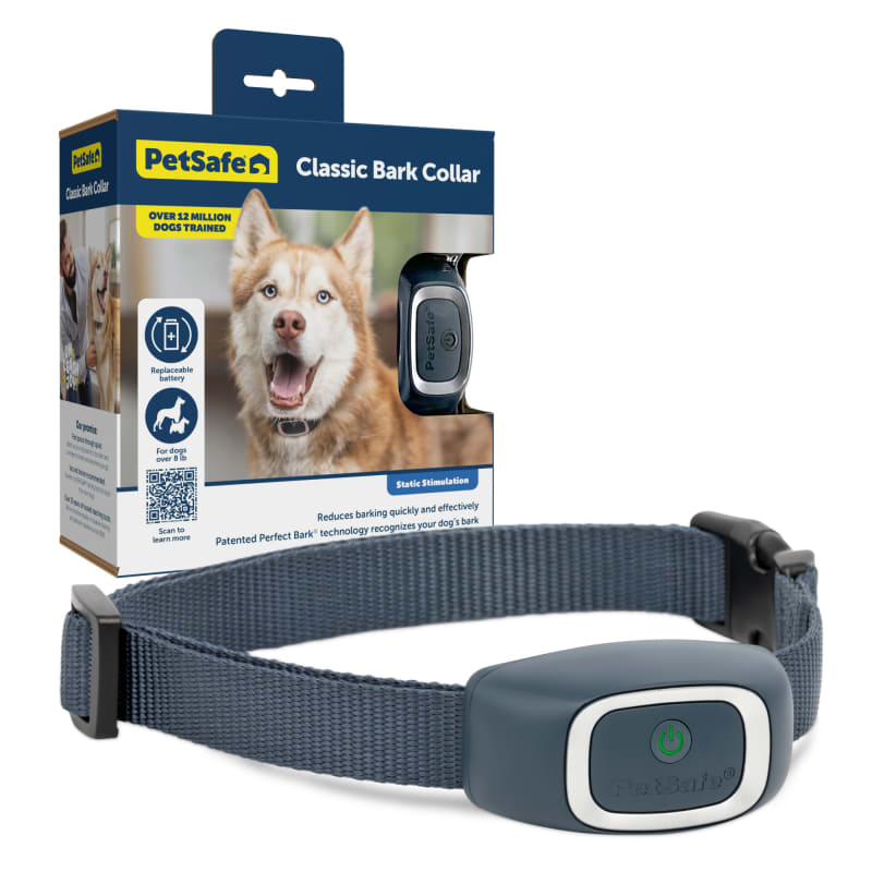 Fleet farm dog shock collar top