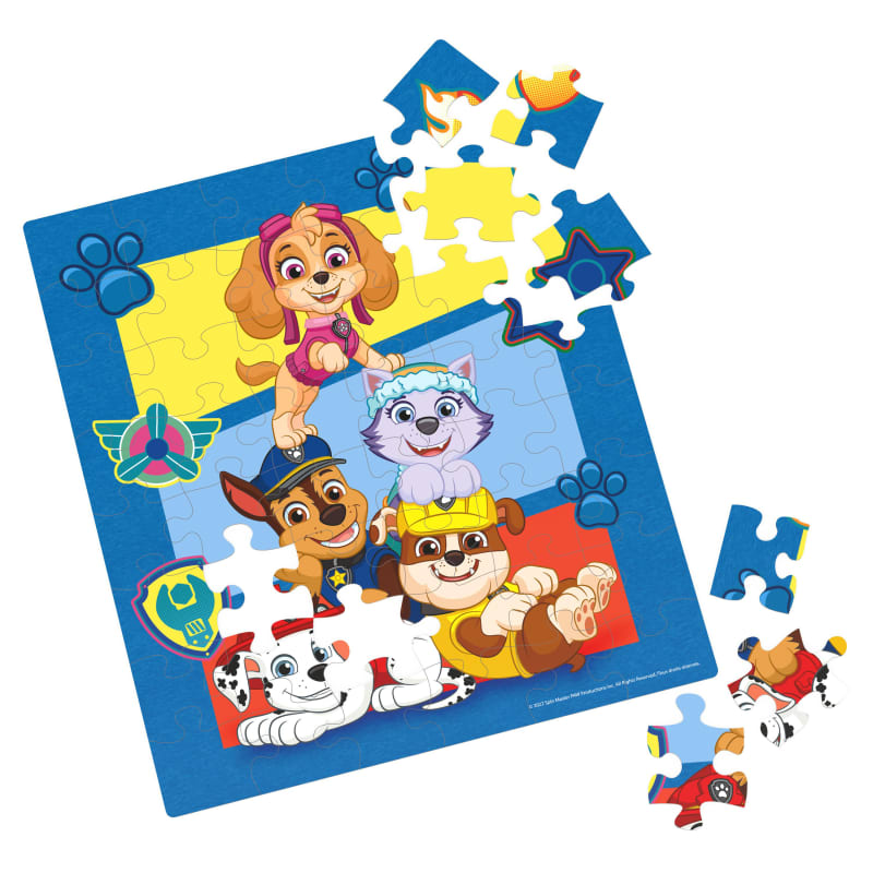 Licensed Tube Puzzle 2 Pk - Assorted by Spin Master Games at Fleet