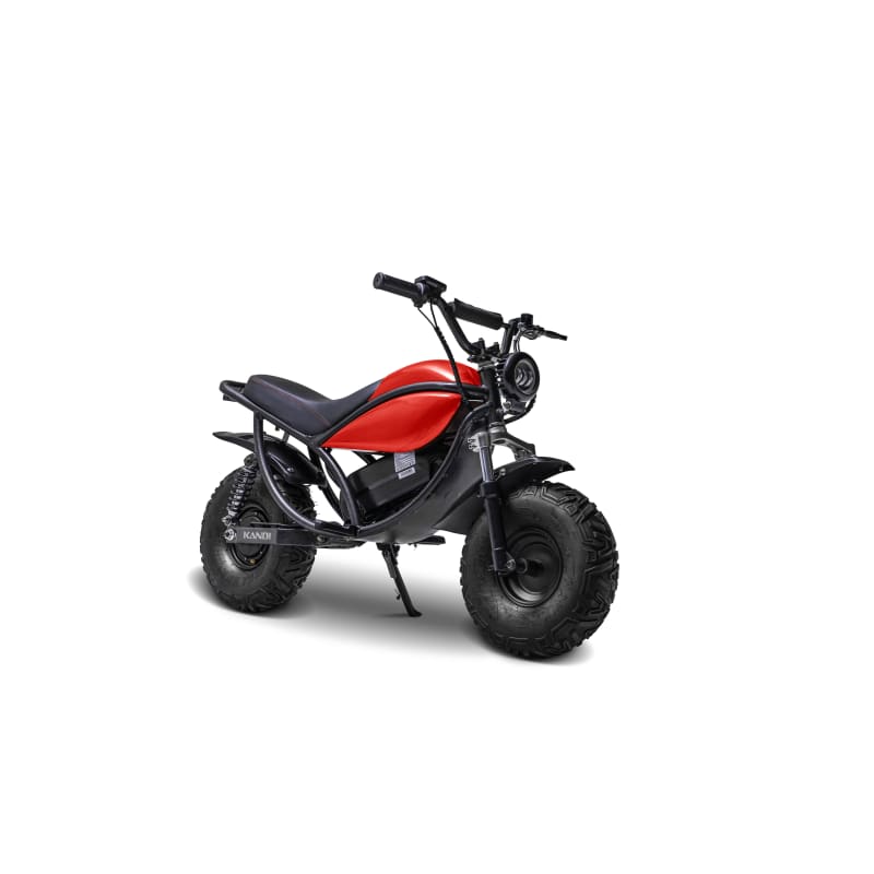 Farm and fleet mini bike 2025