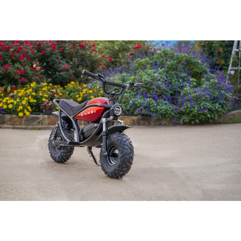 Fleet farm mini bike sale