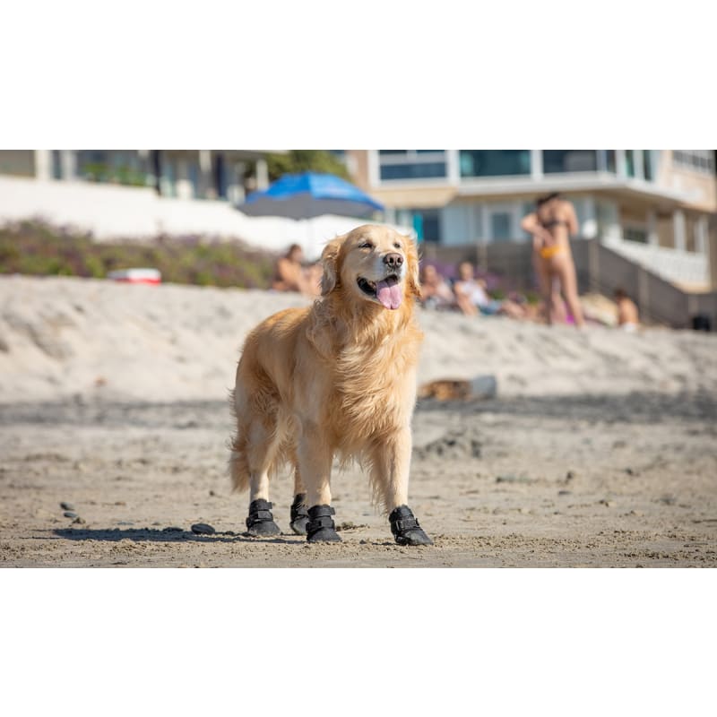 Ultra paws cool dog boots online