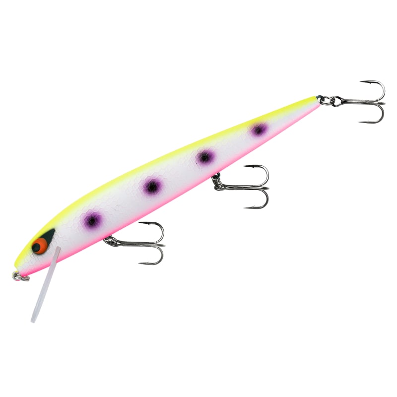 Smithwick Perfect 10 Rogue Fishing Lure by Pradco at Fleet Farm