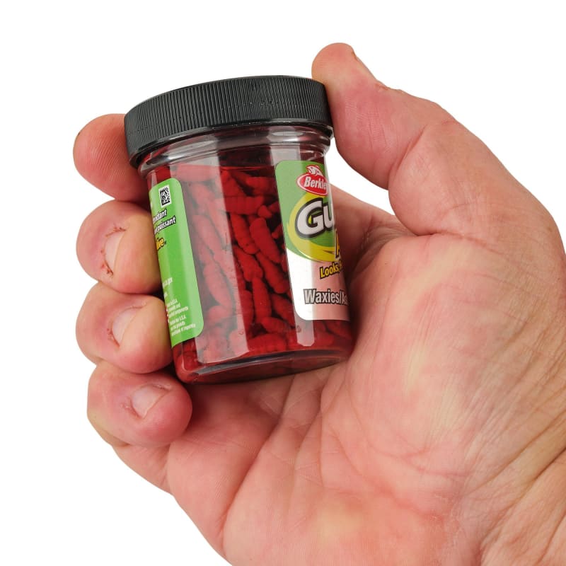 2 oz Gulp Alive Waxies Red Wiggler Jar by Berkley at Fleet Farm