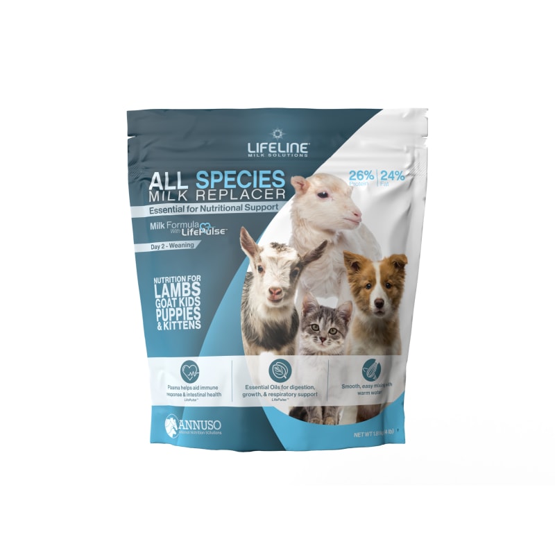 Lambs milk for puppies cheap