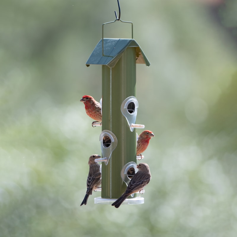 Green Metal Tube Wild Bird Feeder by Perky-Pet at Fleet Farm