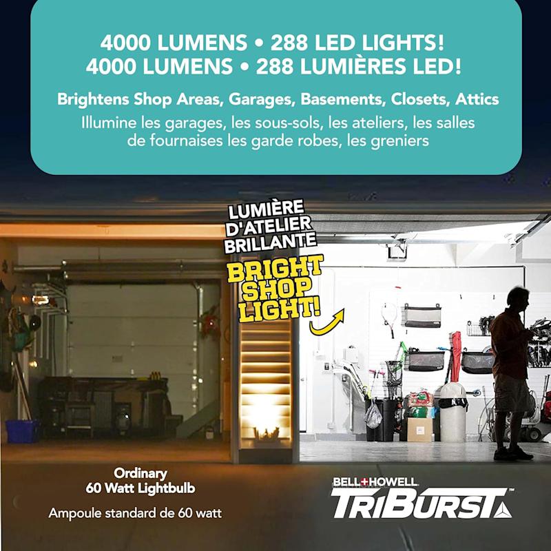 Triburst LED Light by Bell Howell at Fleet Farm