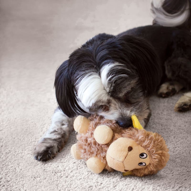 Barnyard Cruncheez Large Cow Dog Toy by KONG at Fleet Farm