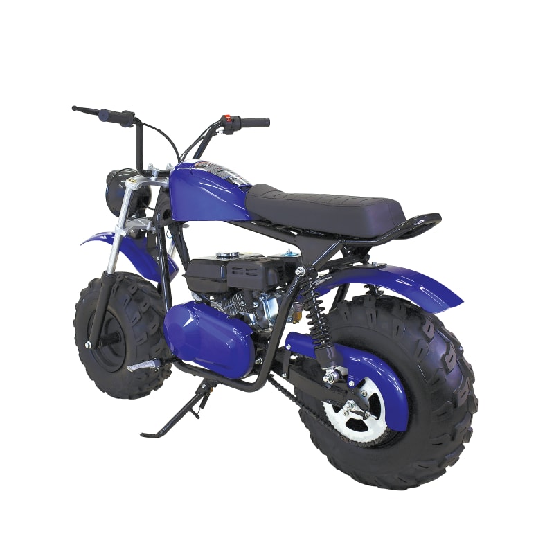 Farm and fleet mini bike 2025
