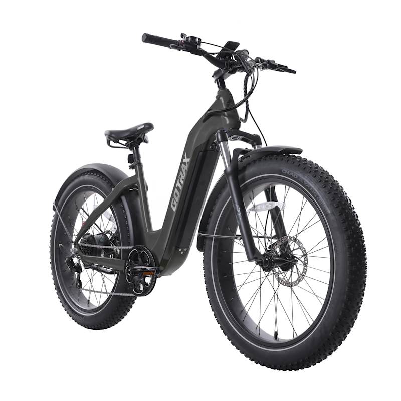 Fleet farm bikes cheap