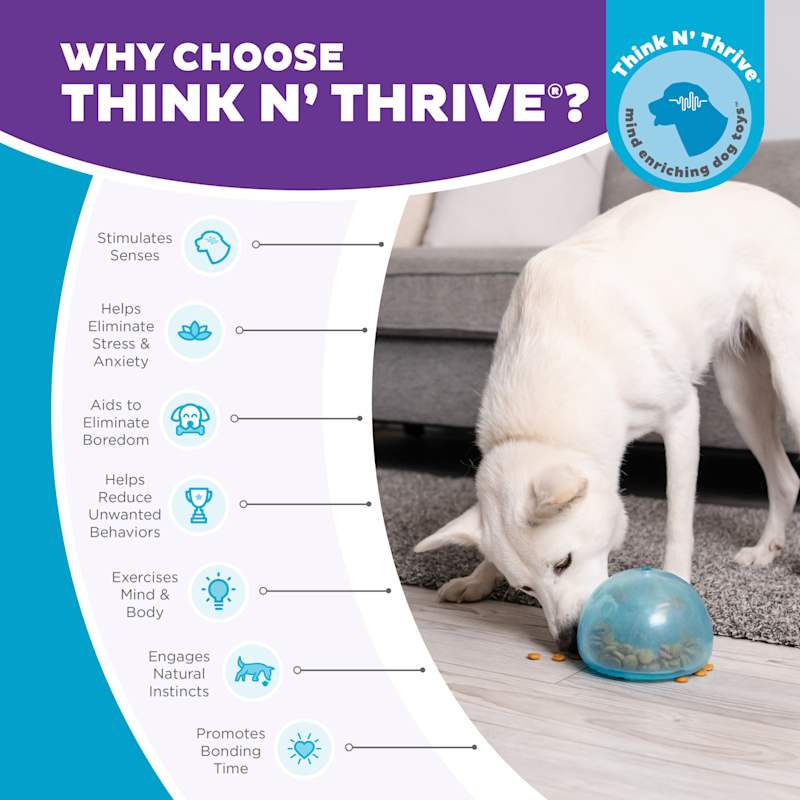 Orbee dog toys sales