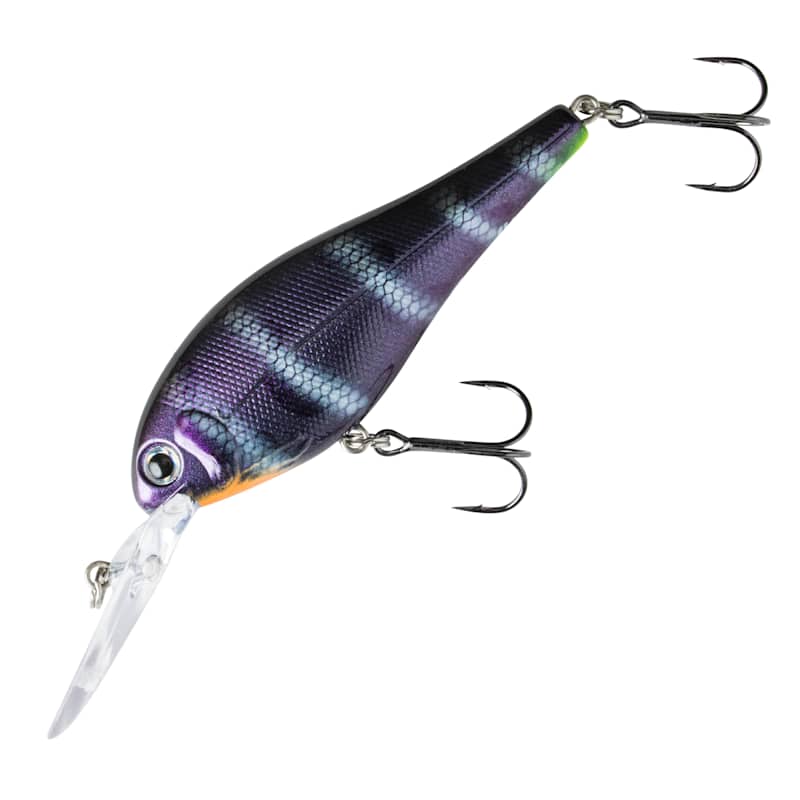 apache laptop backpack Spikes & Sparrow Ted 14″ fine grain leather brandy Daiwa D-Shock Spinning Combo Its design goes beyond techno Color:Purple and Chrome