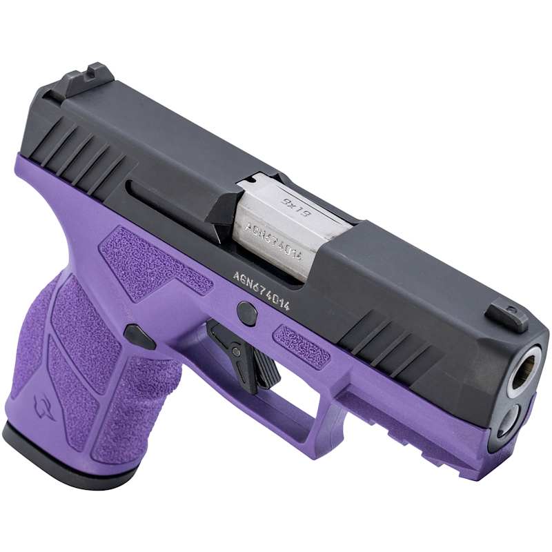 Taurus 1-GX2931DP GX2 9mm Luger 13+1 3.37 Matte Stainless Steel