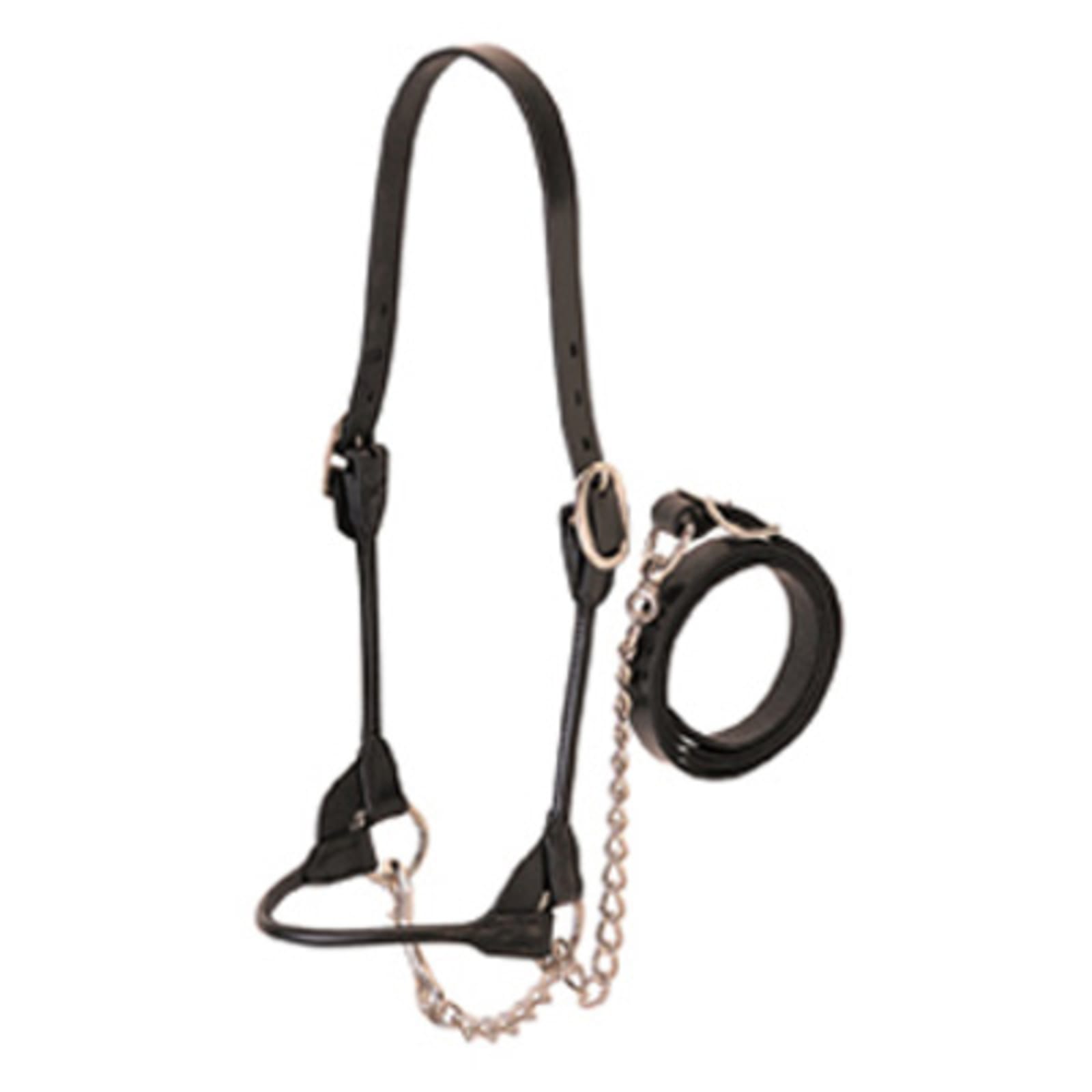 weaver leather-halter-info – Outlaw Outfitters