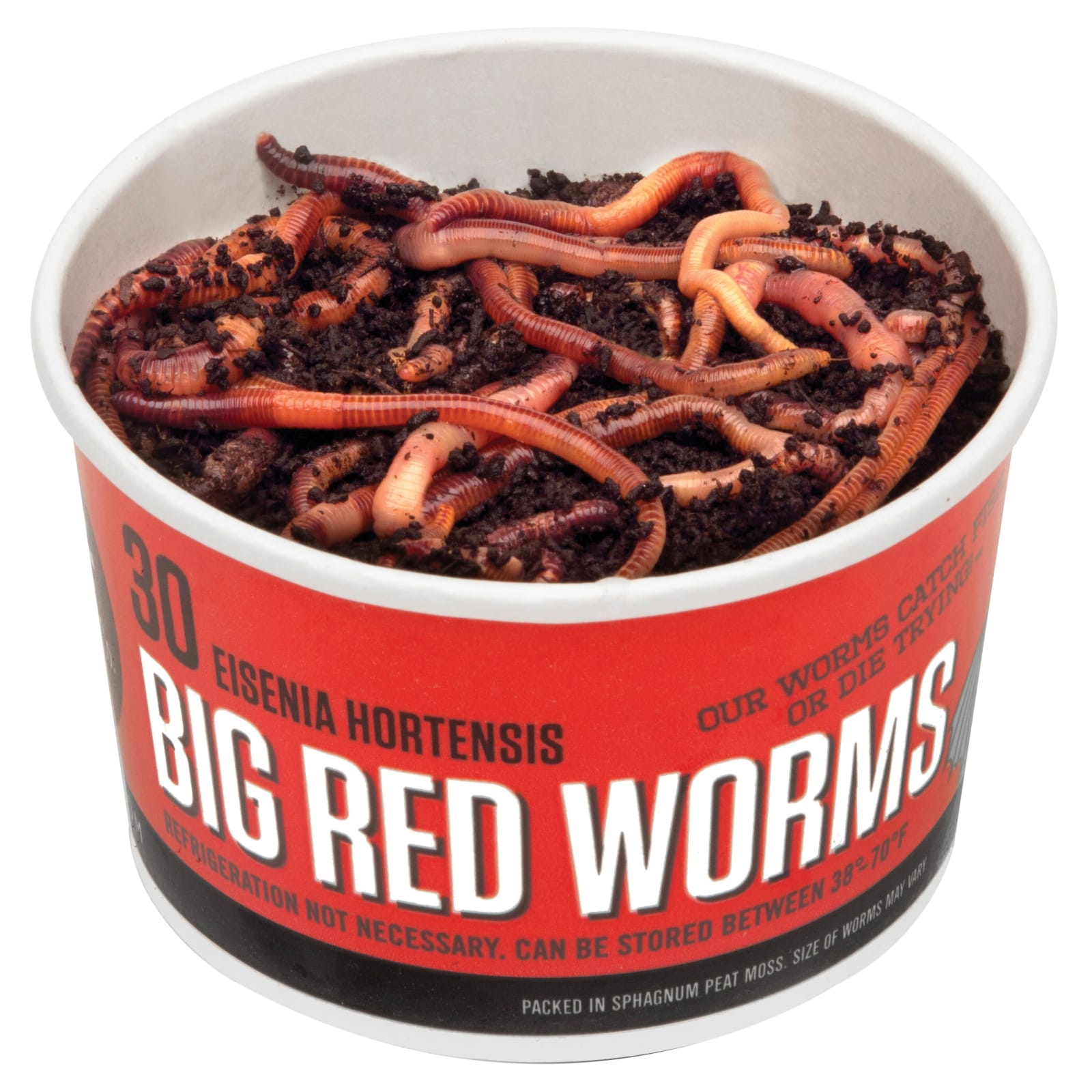 Garlic Scented Nightcrawlers Worms by DMF Bait at Fleet Farm