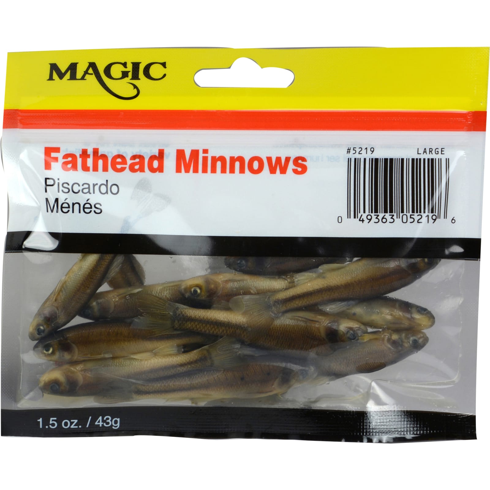 fathead minnow