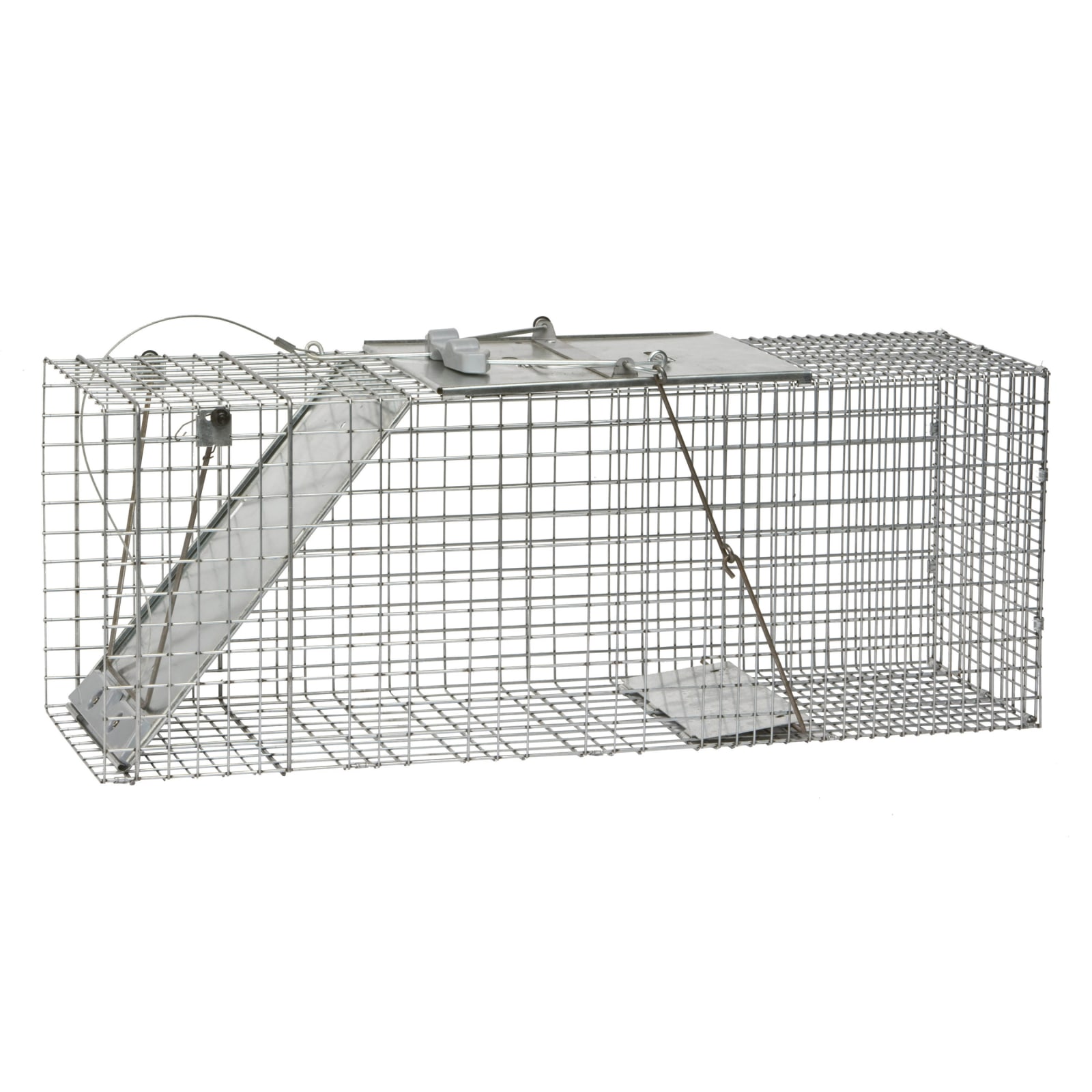 Havahart Collapsible Easy Set 1-Door Traps in the Animal & Rodent Control  department at