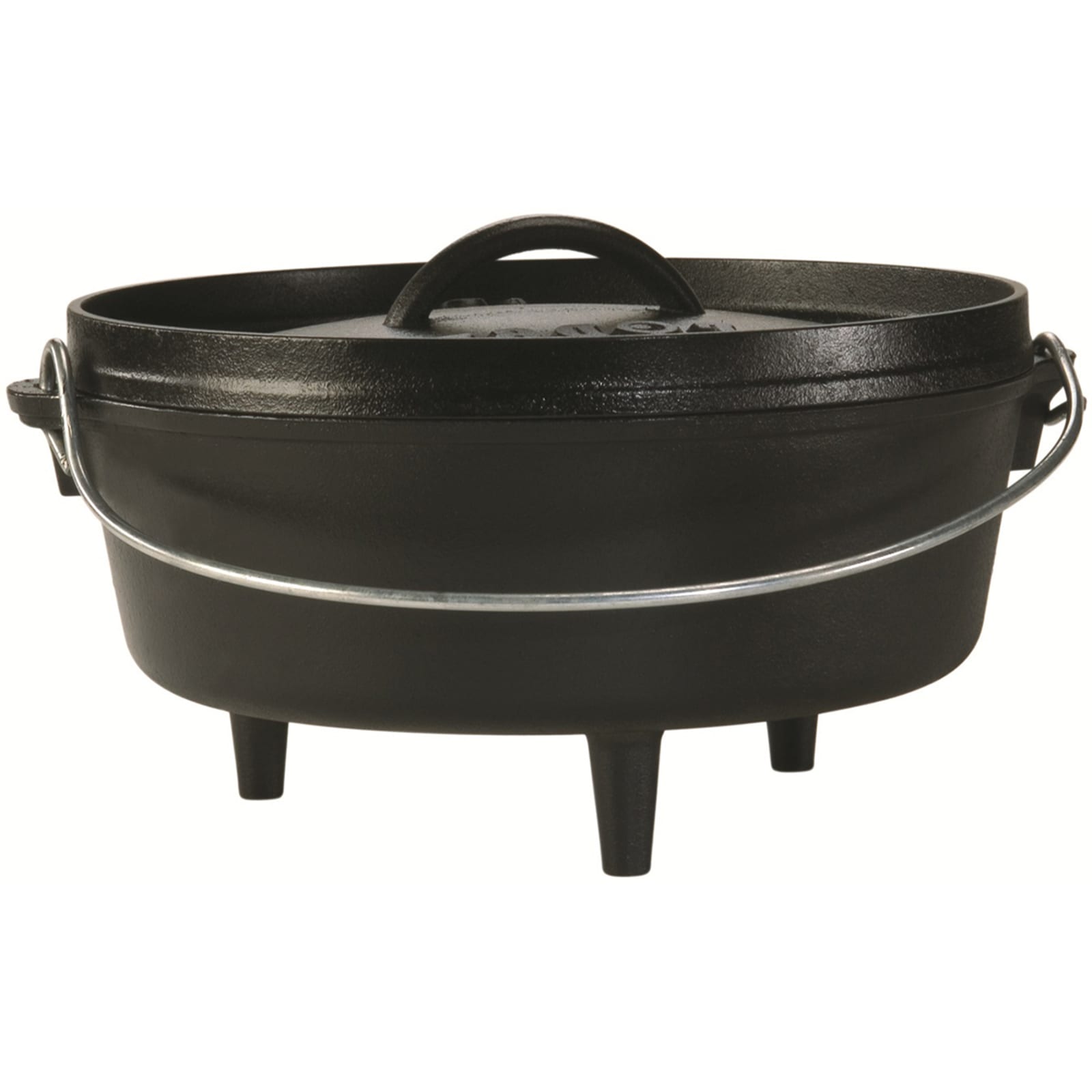 6 qt Dutch Oven by Lodge at Fleet Farm