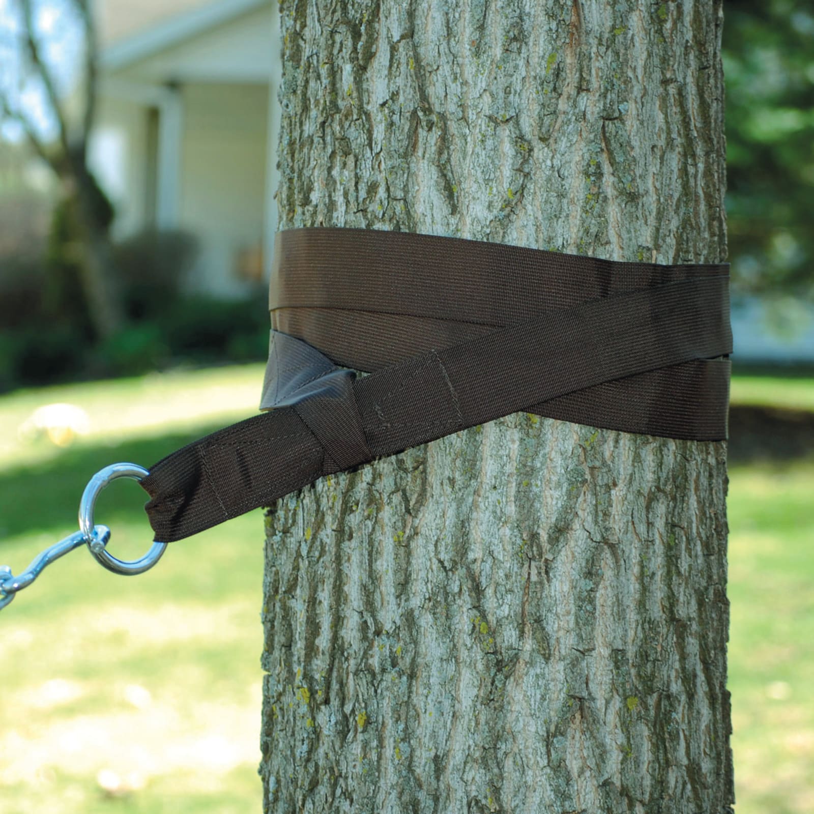 Farm and fleet hammock sales