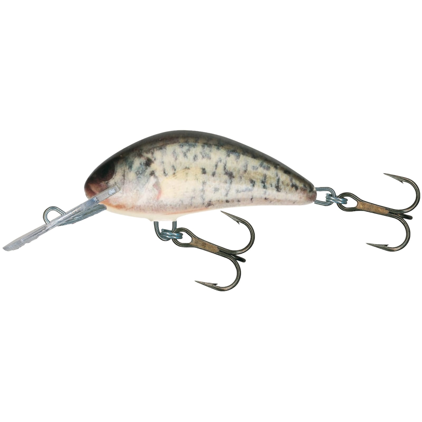 Hornet Floating Real Crappie Crankbait by Salmo at Fleet Farm