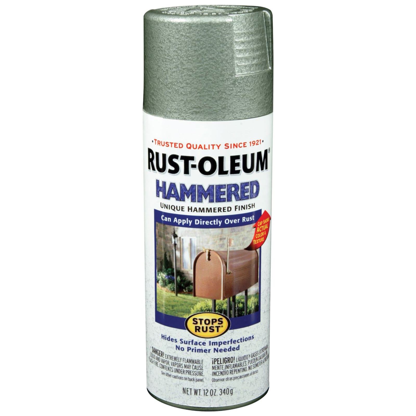 RUST-OLEUM 2896 Spray Past Activ 32Oz