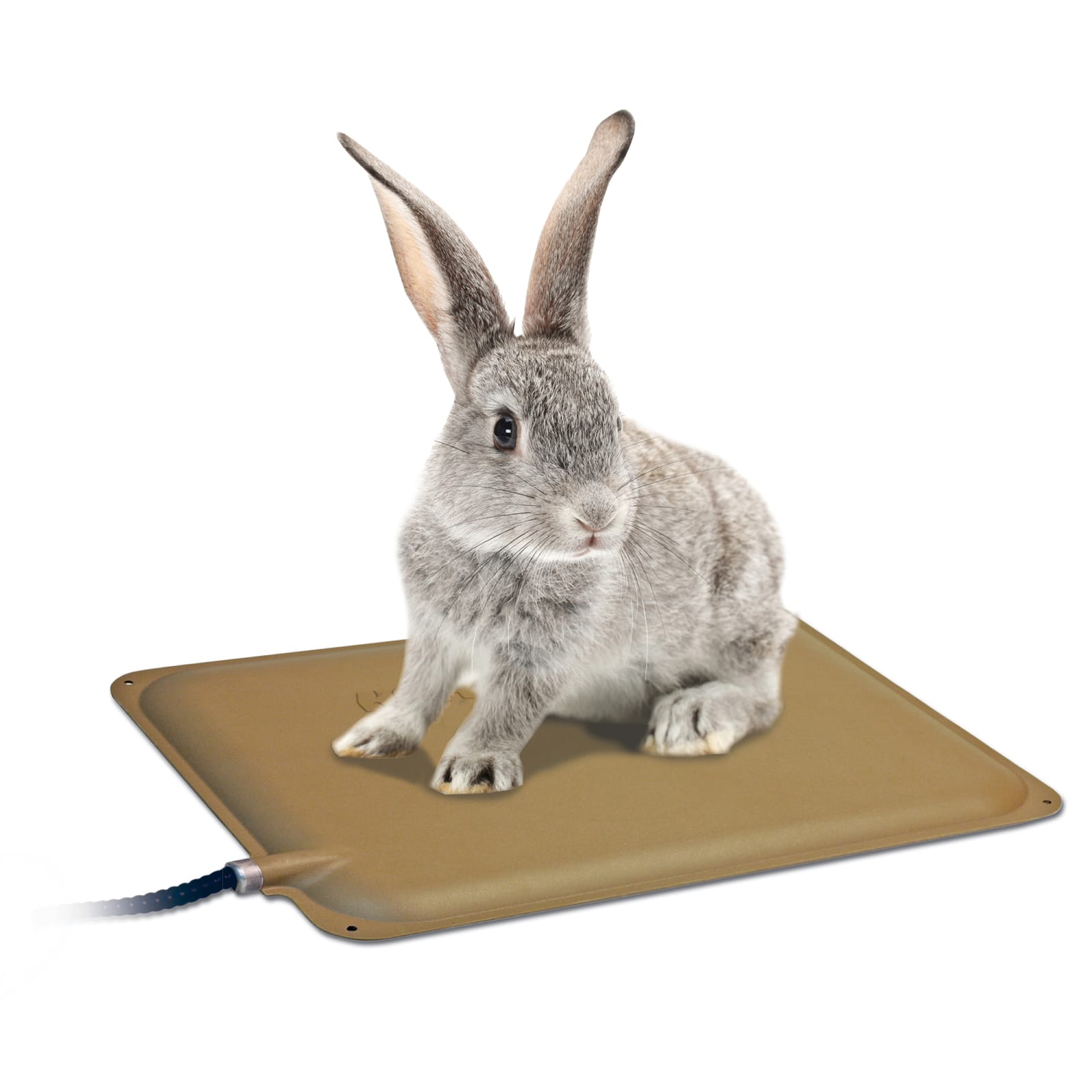 K&h dog heating pad top