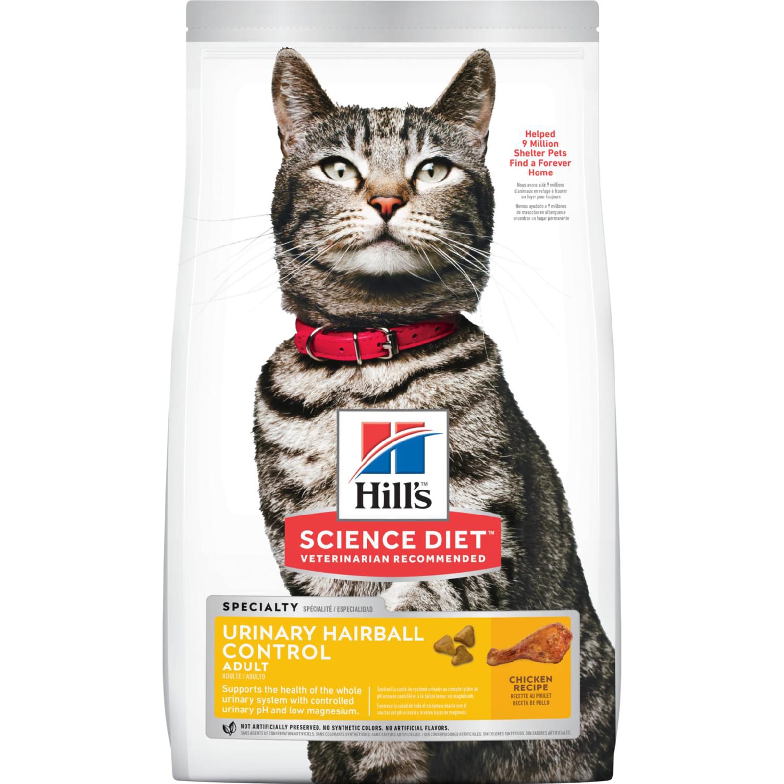 Cat diet online dry food