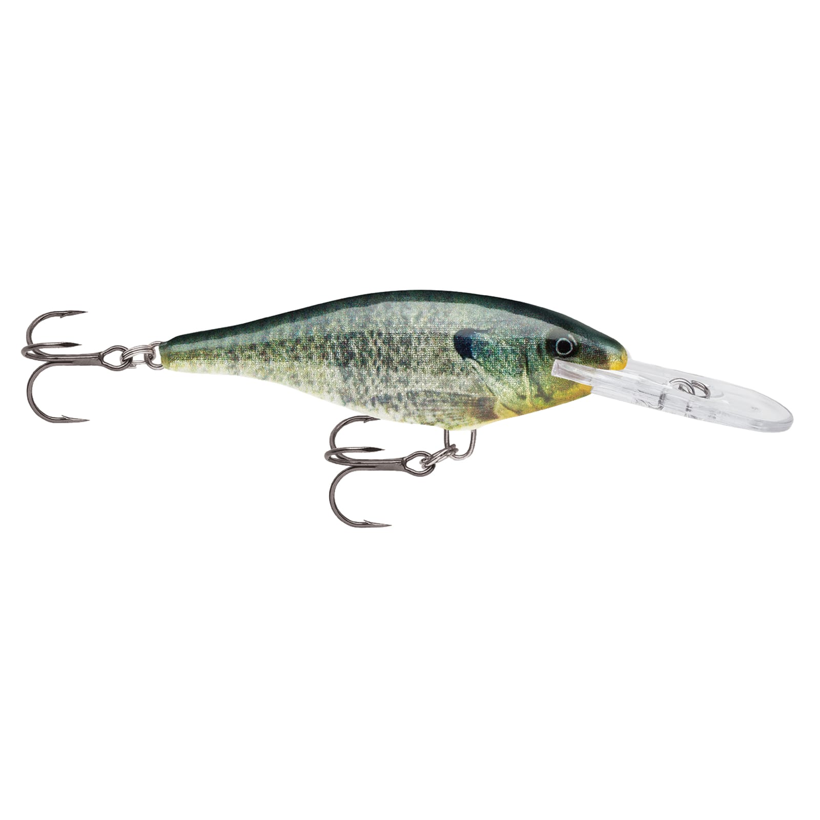 Shad Rap - Live Bluegill by Rapala at Fleet Farm