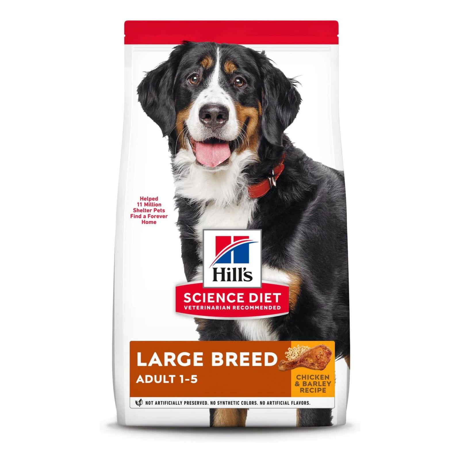 Most common breeds in shelters outlet