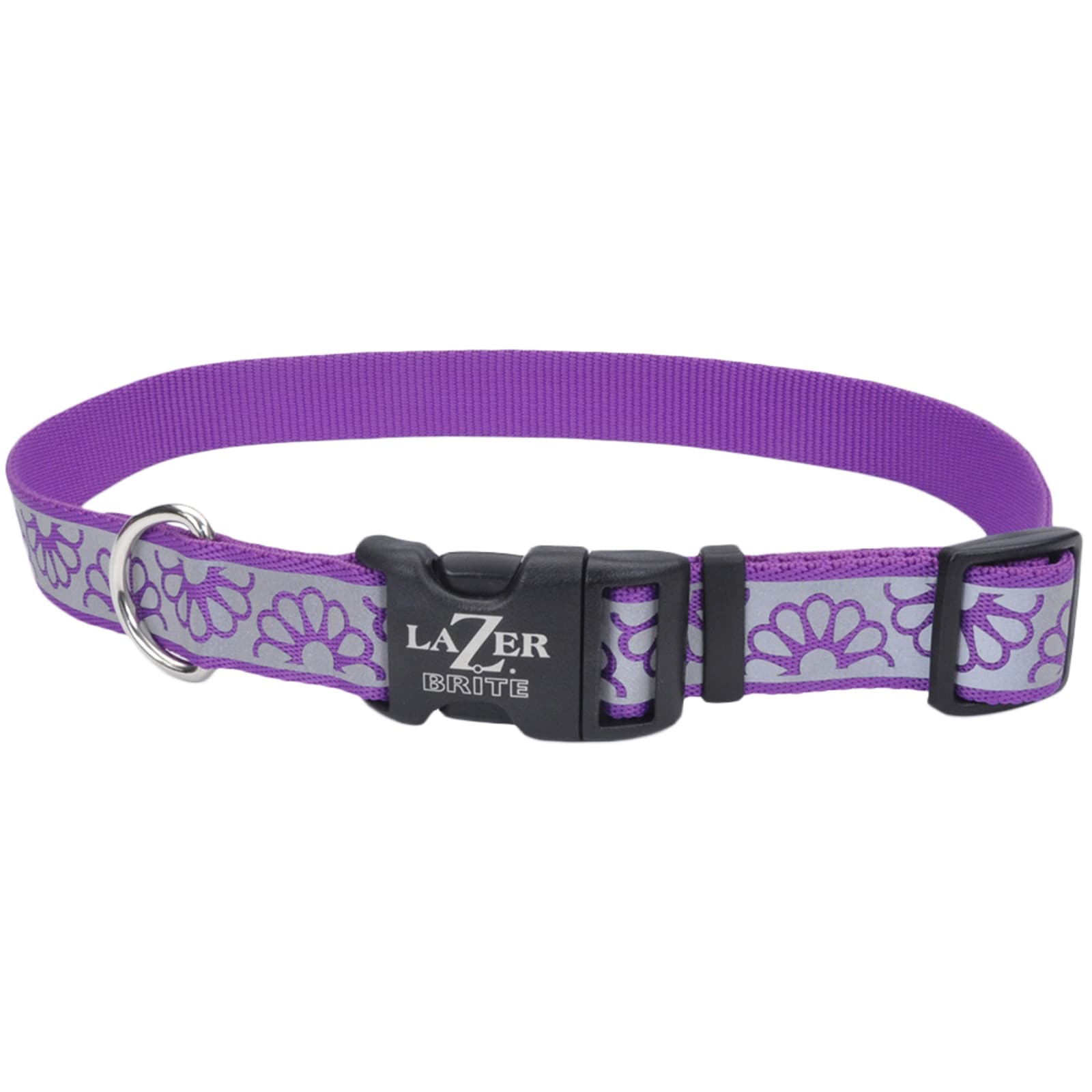 Lazer brite dog collar online