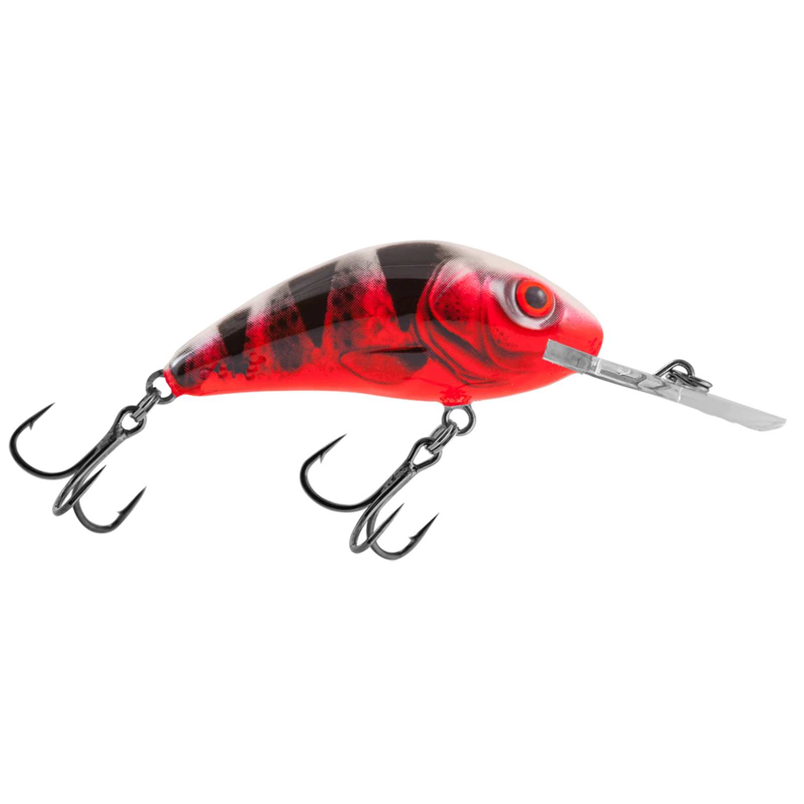 Bloody Perch Rattlin' Hornet Floating Crankbait by Salmo at Fleet Farm