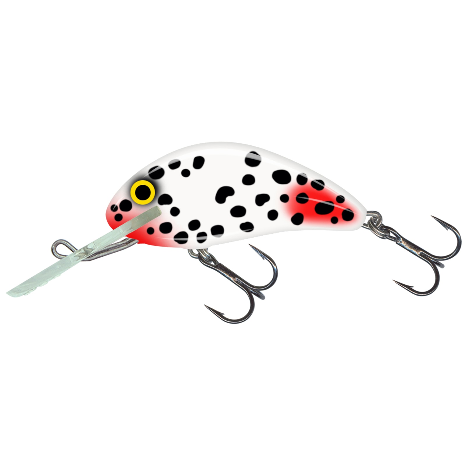 Injured Dalmatian Hornet 5 Floating Crankbait by Salmo at Fleet Farm