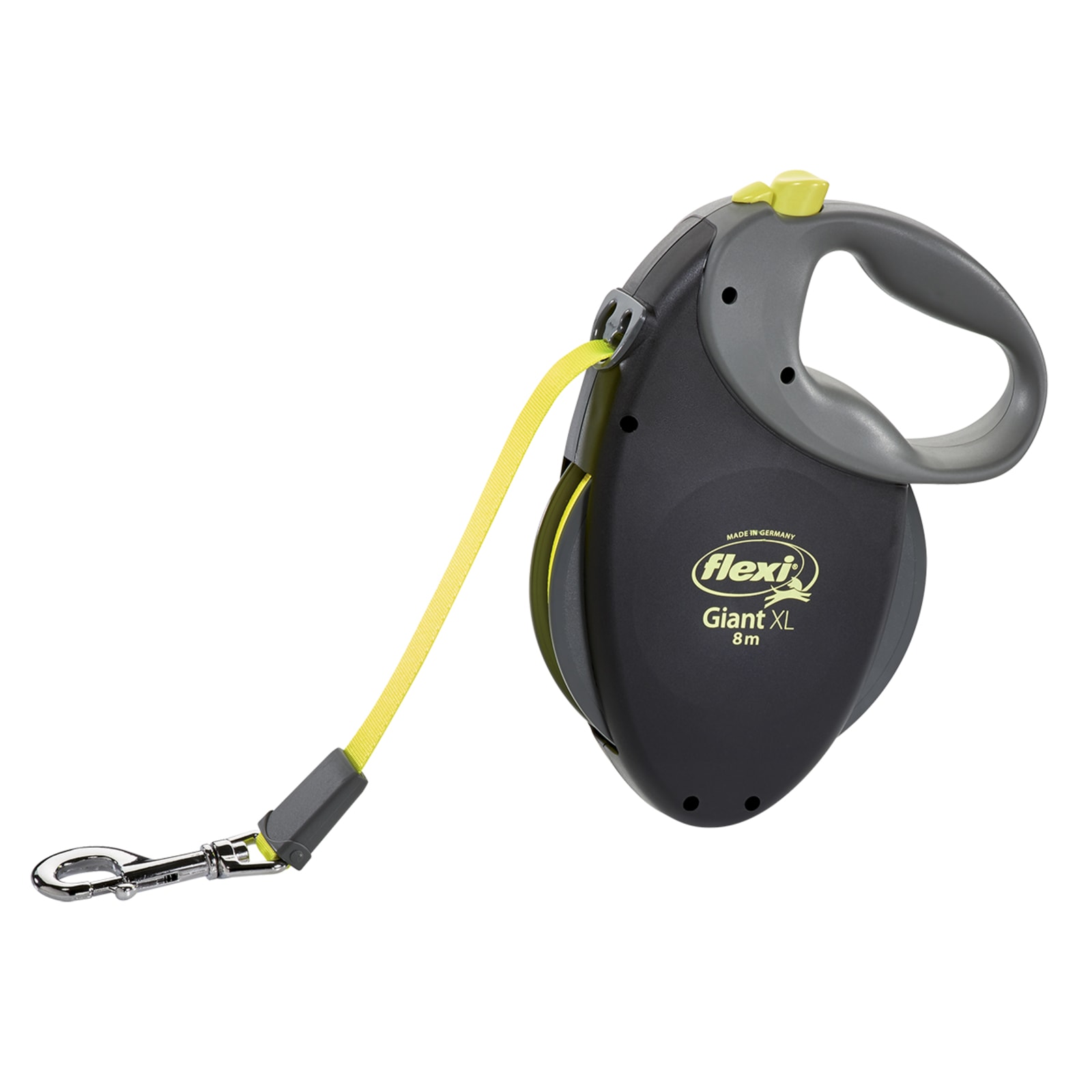 What is a flexi leash online