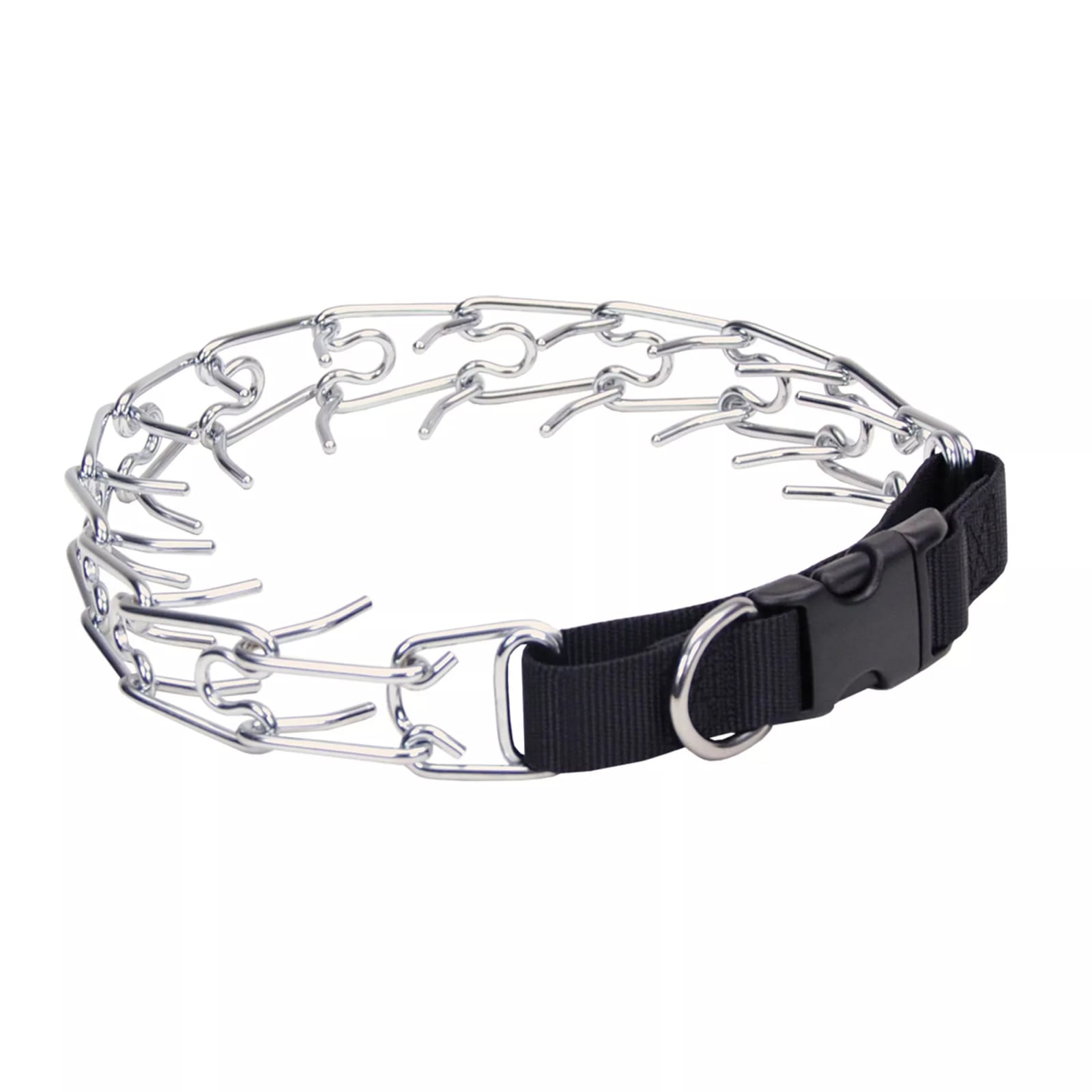 Top Paw Buckle Prong Training Dog Collar, Size: Small | PetSmart