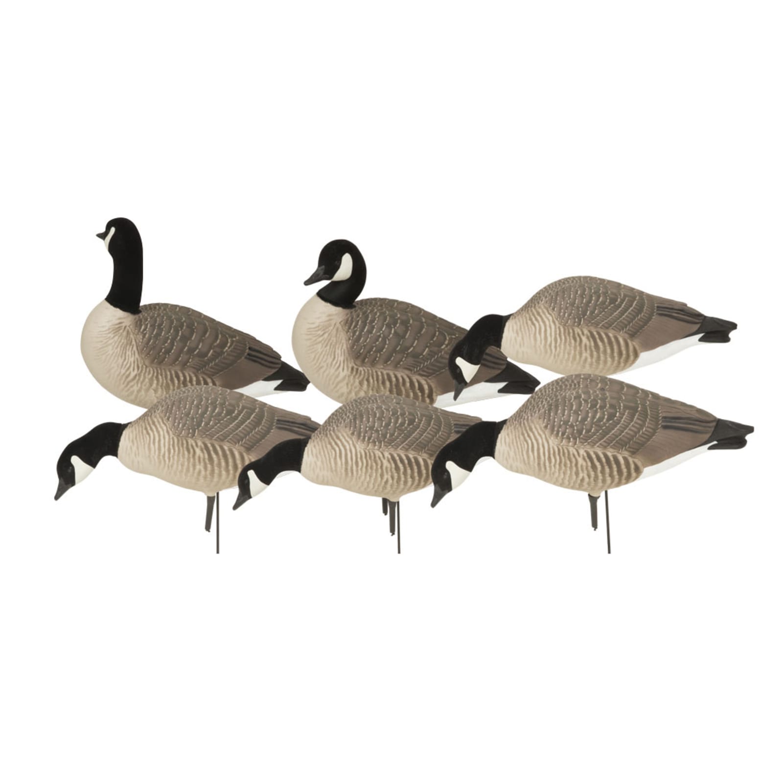 Canada Harvester Hunter Series Waterfowl Decoy pk by GHG at Fleet Farm