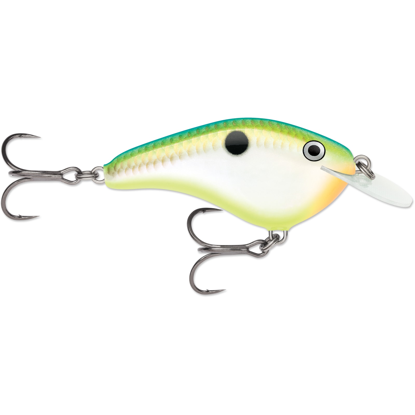 Rapala Ott's Garage Tiny Big Shad