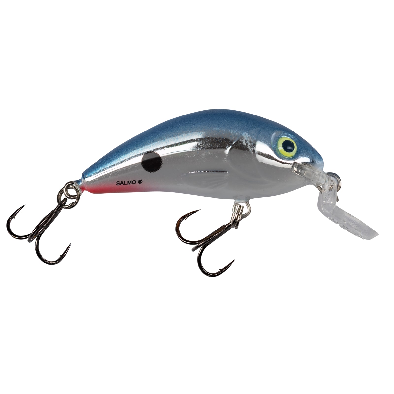 Red Tail Shiner Rattling Hornet Shallow Runner Crankbait by Salmo at Fleet  Farm