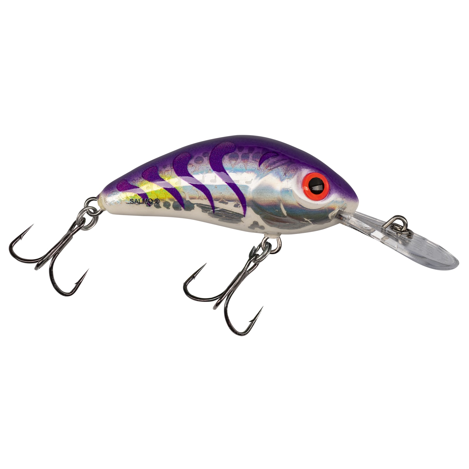 Holographic Purple Rattling Hornet Floating Crankbait by Salmo at Fleet Farm