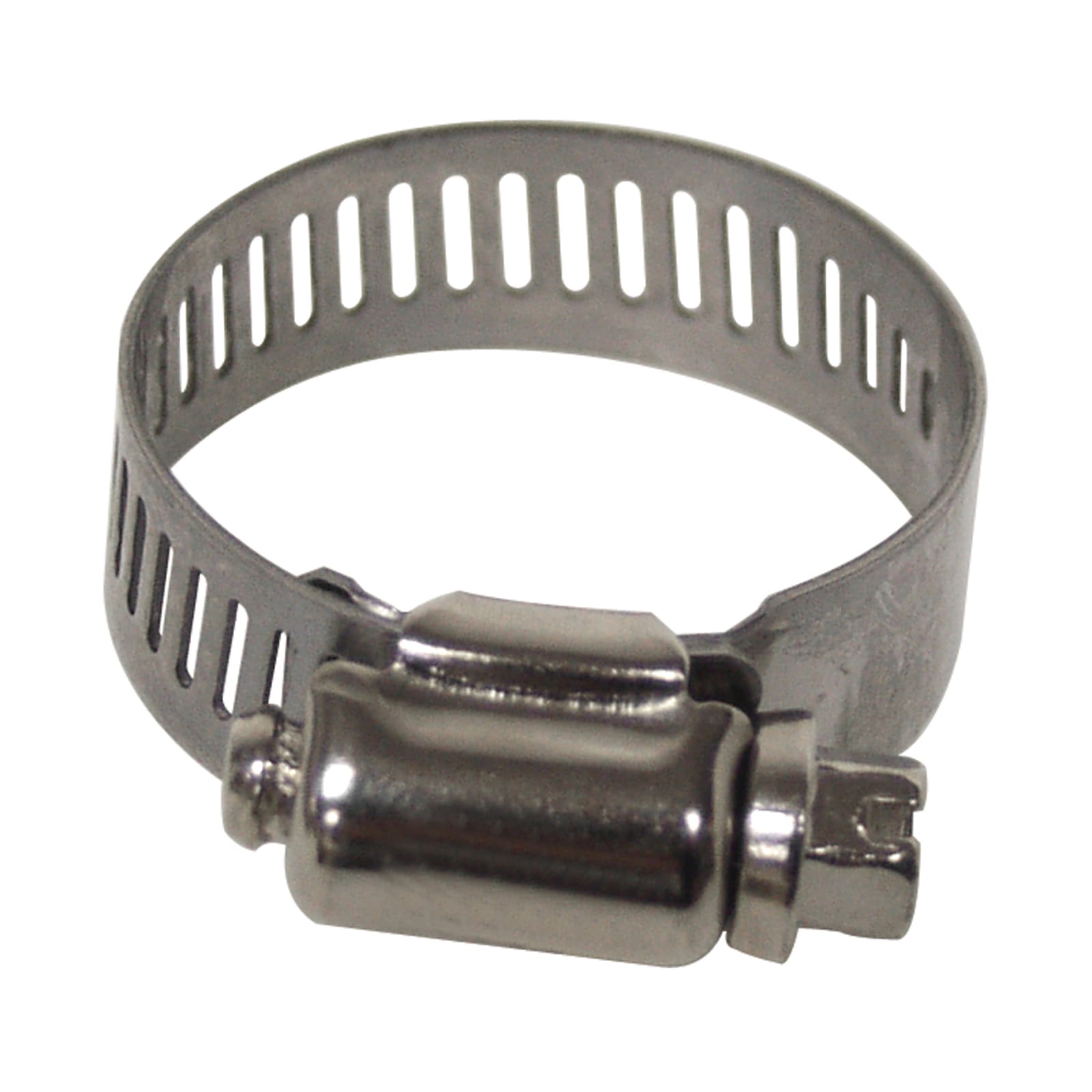 in to 1-1/4 in Stainless Steel Hose Clamp by PlumbCraft at Fleet Farm