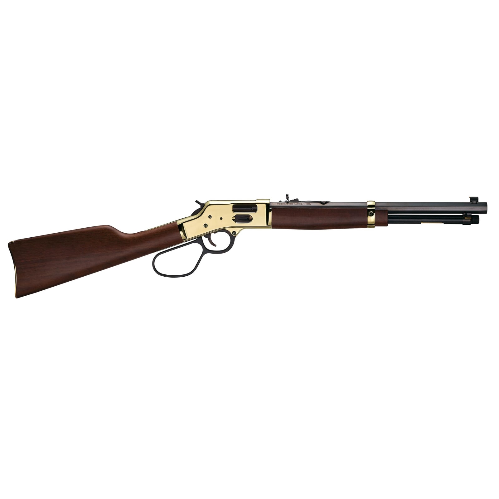 45 Colt Big Boy Lever Action Rifle by Henry at Fleet Farm