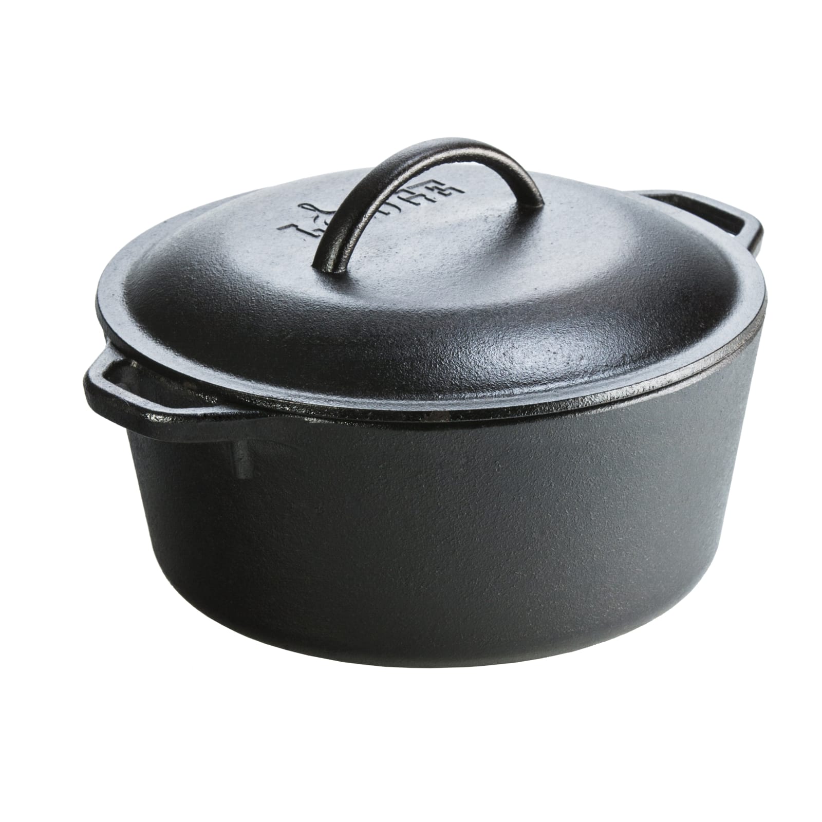 5 Qt Cast Iron Double Dutch Oven by Lodge at Fleet Farm