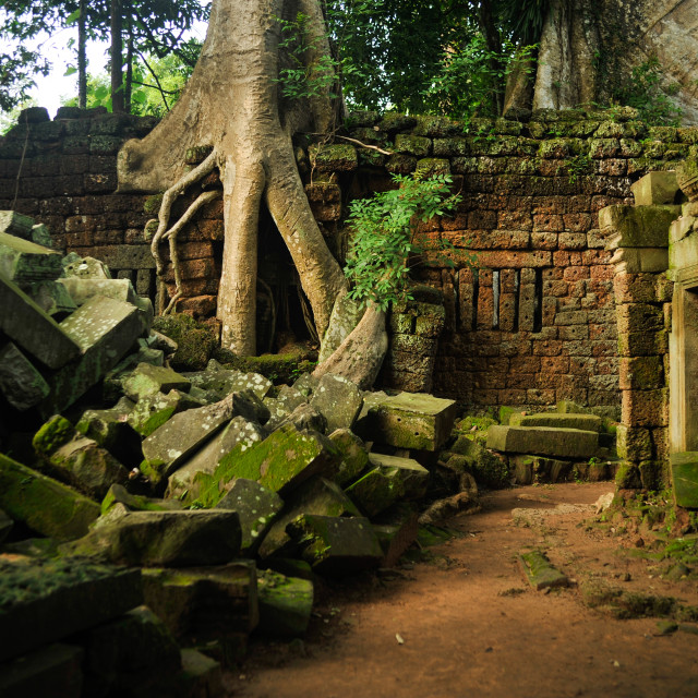 "Angkor Wat Temple" stock image