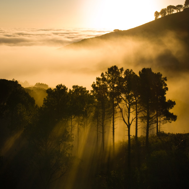 "Misty Campsbay, Cape Town sunset" stock image