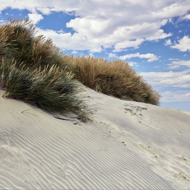 "Sand Dune" stock image