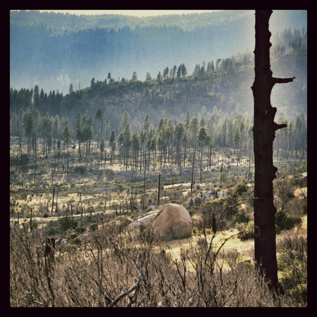 "Burnt Yosemite" stock image