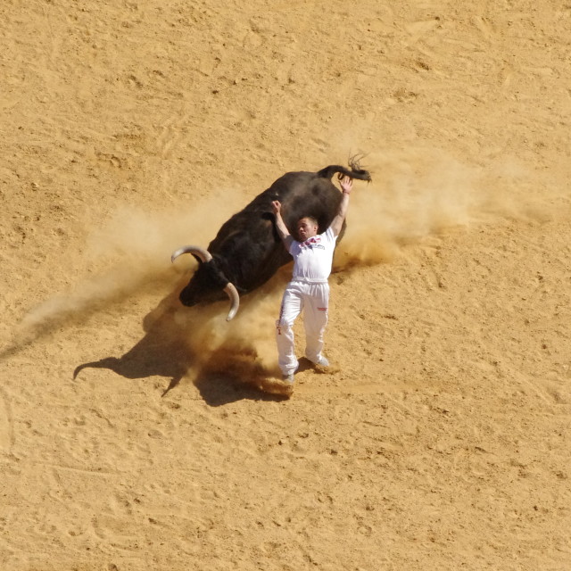 "Recortador" stock image