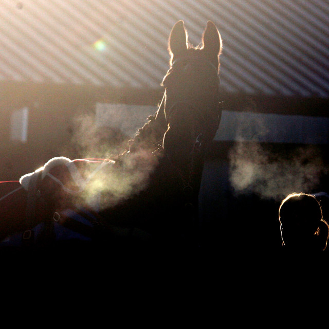 "After The Race, Sedgefield3" stock image