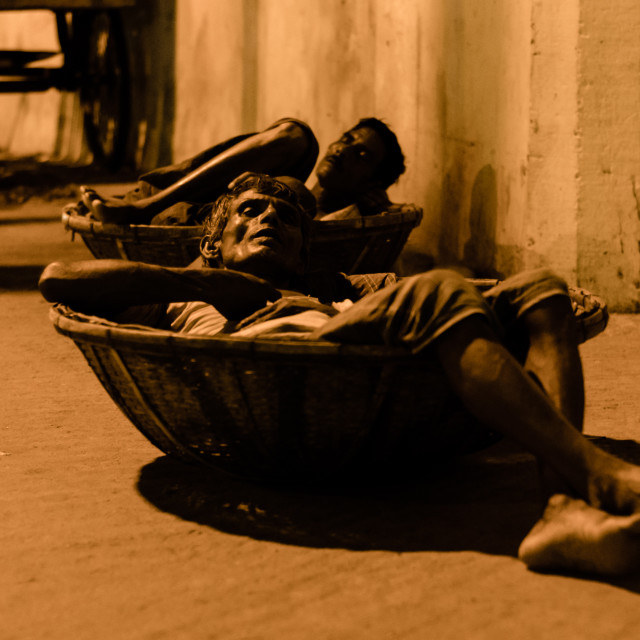 ""5-star" sleeping basket .." stock image